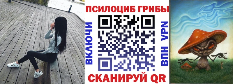 купить наркотик  Давлеканово  Галлюциногенные грибы Cubensis 