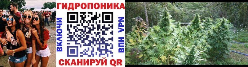 Бошки Шишки сатива Давлеканово
